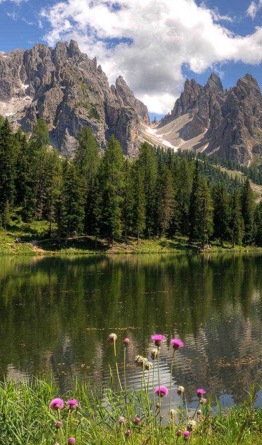 Hotel Il Cardo San Vito di Cadore Kültér fotó