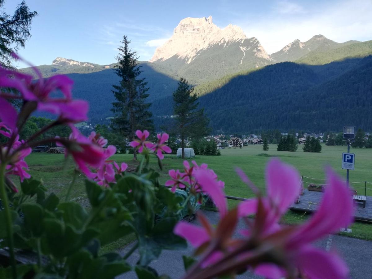 Hotel Il Cardo San Vito di Cadore Kültér fotó